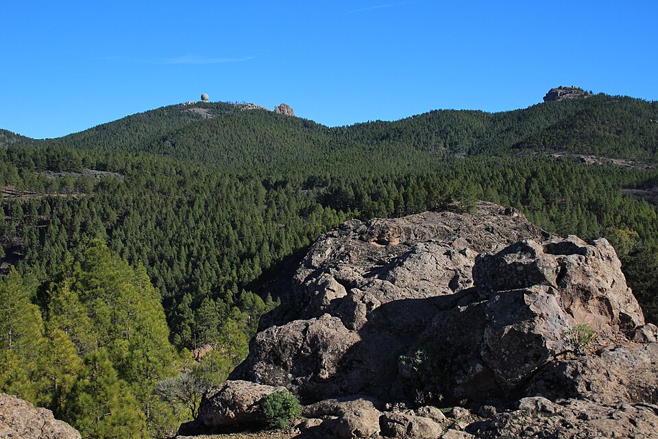 Pico de las Nieves - WLE Spain 2015